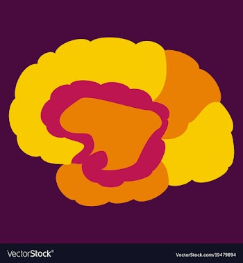 Brain in flat monochrome color on white background vector image