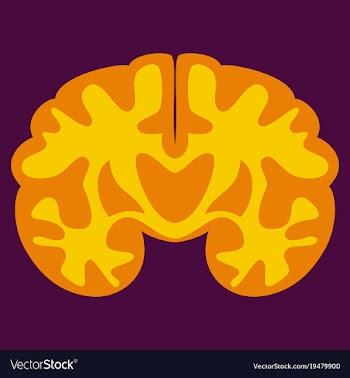 Brain in flat monochrome color on white background vector image