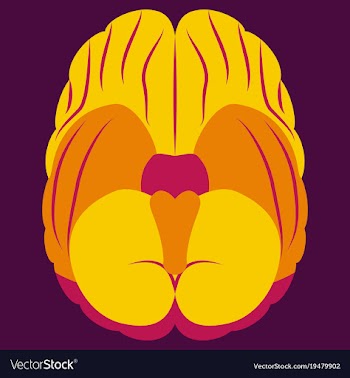 Brain in flat monochrome color on white background vector image