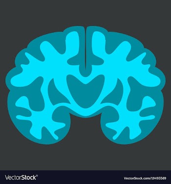 Brain in flat monochrome color on white background vector image