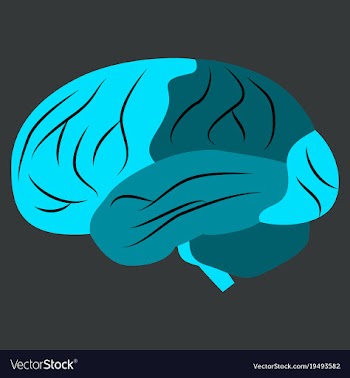 Brain in flat monochrome color on white background vector image