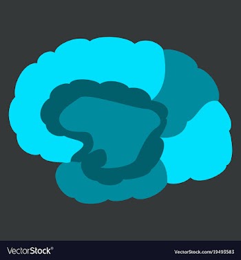 Brain in flat monochrome color on white background vector image
