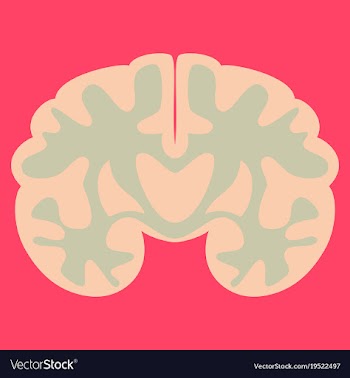 Brain in flat monochrome color on white background vector image