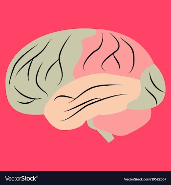 Brain in flat monochrome color on white background vector image