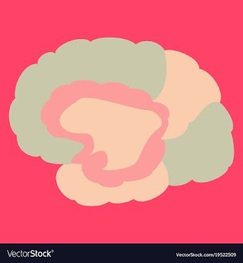 Brain in flat monochrome color on white background vector image
