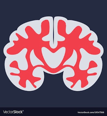 Brain in flat monochrome color on white background vector image