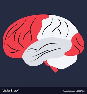 Brain in flat monochrome color on white background vector image