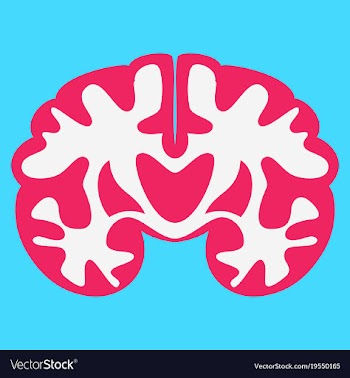 Brain in flat monochrome color on white background vector image
