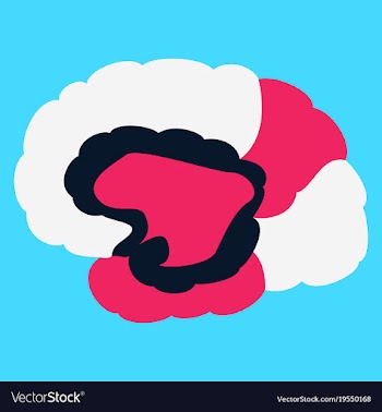Brain in flat monochrome color on white background vector image
