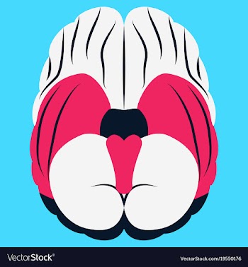 Brain in flat monochrome color on white background vector image