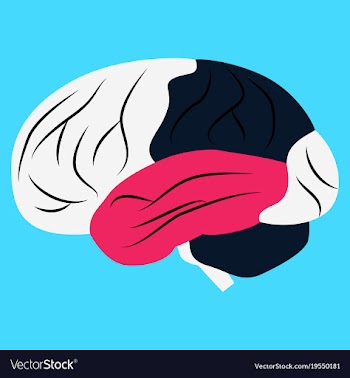 Brain in flat monochrome color on white background vector image