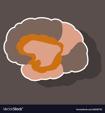 Brain in sticker monochrome color on white vector image
