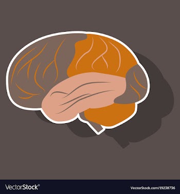 Brain in sticker monochrome color on white vector image
