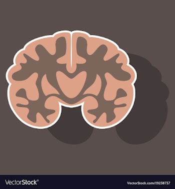 Brain in sticker monochrome color on white vector image