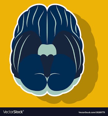 Brain in sticker monochrome color on white vector image