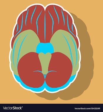 Brain in sticker monochrome color on white vector image