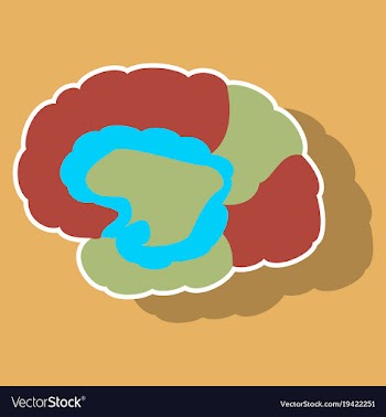 Brain in sticker monochrome color on white vector image