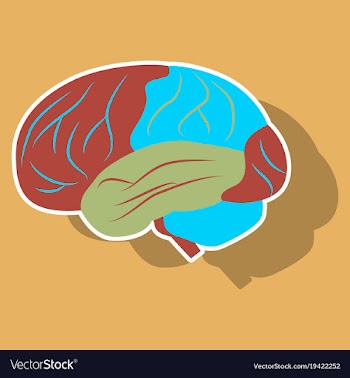 Brain in sticker monochrome color on white vector image