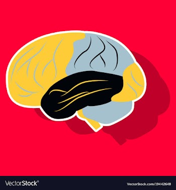 Brain in sticker monochrome color on white vector image