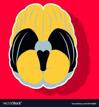 Brain in sticker monochrome color on white vector image