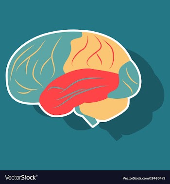 Brain in sticker monochrome color on white vector image