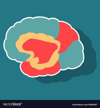 Brain in sticker monochrome color on white vector image