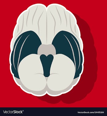 Brain in sticker monochrome color on white vector image