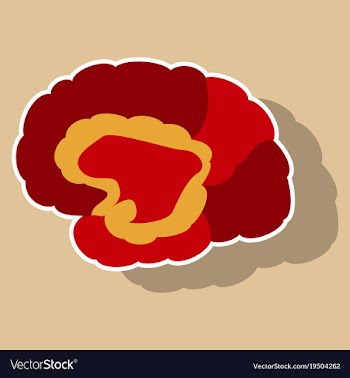 Brain in sticker monochrome color on white vector image