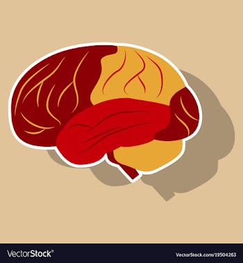 Brain in sticker monochrome color on white vector image