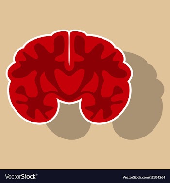 Brain in sticker monochrome color on white vector image
