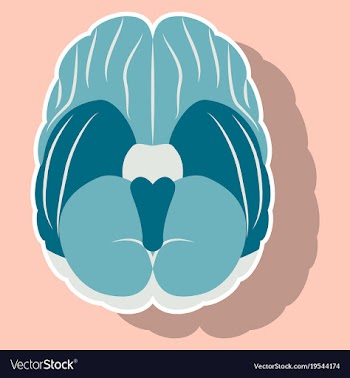 Brain in sticker monochrome color on white vector image