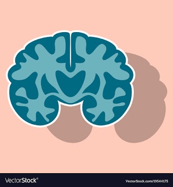 Brain in sticker monochrome color on white vector image