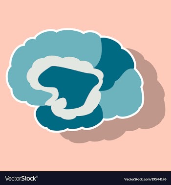 Brain in sticker monochrome color on white vector image