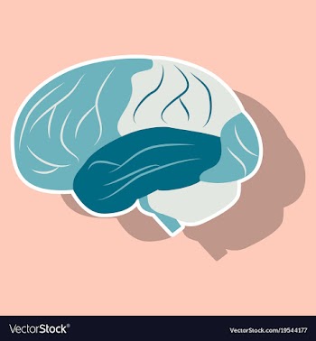 Brain in sticker monochrome color on white vector image
