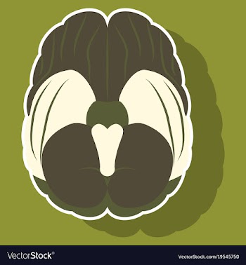 Brain in sticker monochrome color on white vector image