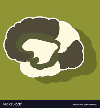 Brain in sticker monochrome color on white vector image