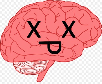 Brain Neuroscience Nose Head Organism - brain 