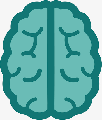 Brain Organ, Brain, Organ, Biomedical Cosmetic Surgery PNG and ...