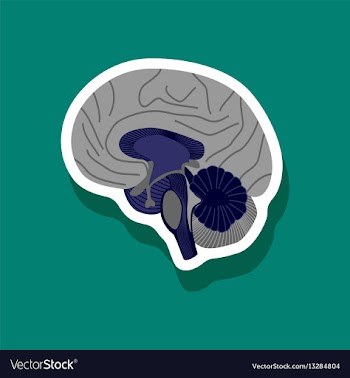 Brain paper sticker on stylish background vector image