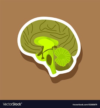 Brain paper sticker on stylish background vector image
