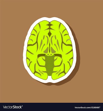 Brain paper sticker on stylish background vector image