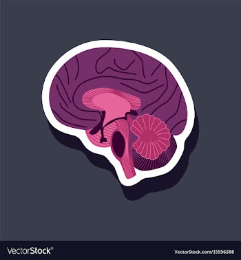 Brain paper sticker on stylish background vector image