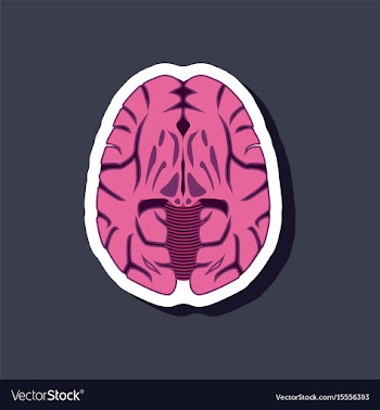 Brain paper sticker on stylish background vector image