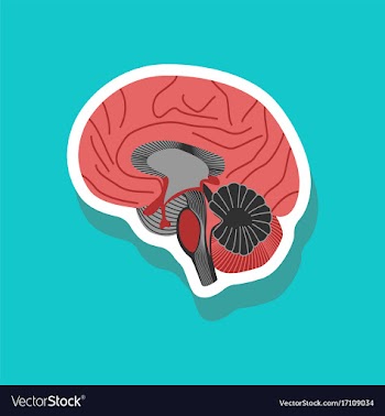 Brain paper sticker on stylish background vector image
