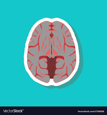 Brain paper sticker on stylish background vector image