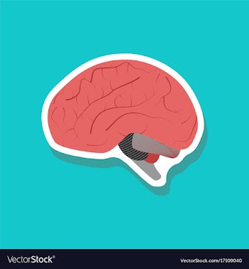 Brain paper sticker on stylish background vector image