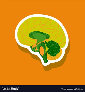 Brain paper sticker on stylish background vector image