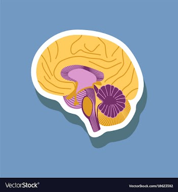 Brain paper sticker on stylish background vector image