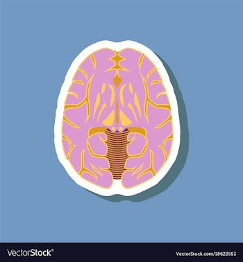 Brain paper sticker on stylish background vector image