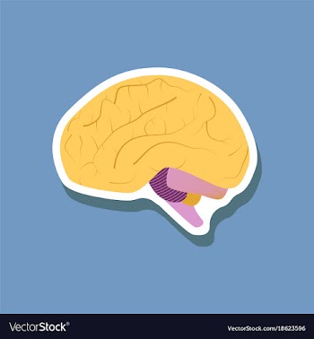 Brain paper sticker on stylish background vector image